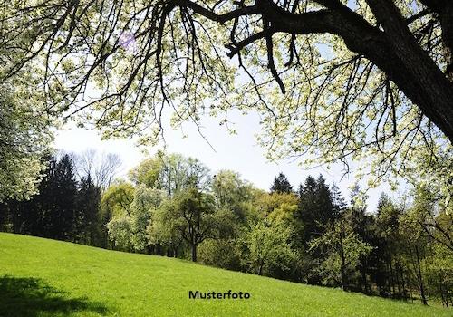 Keine Originalbilder