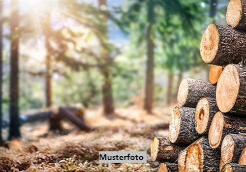 Keine Originalbilder