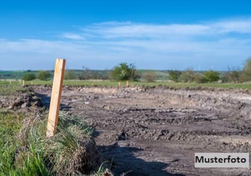 Keine Originalbilder