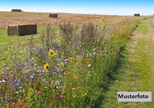 Keine Originalbilder