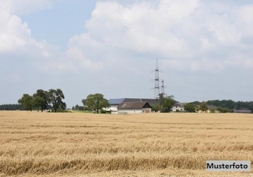 Keine Originalbilder