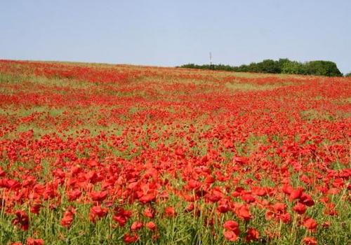 und wann kommen Sie ?