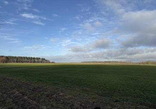 unmittelbare Umgebung 