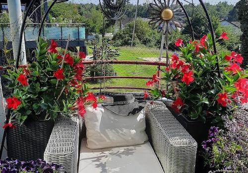 Untere Terrasse WZ Bereich