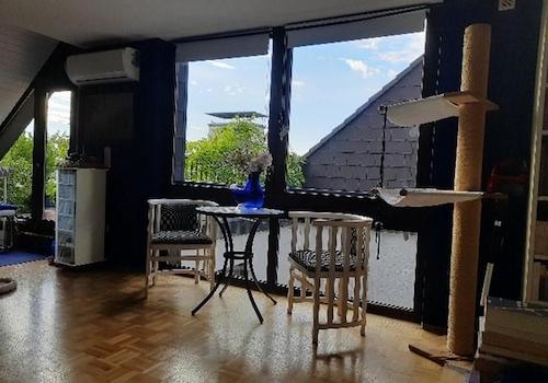 Blick Innenhof + Terrassentür