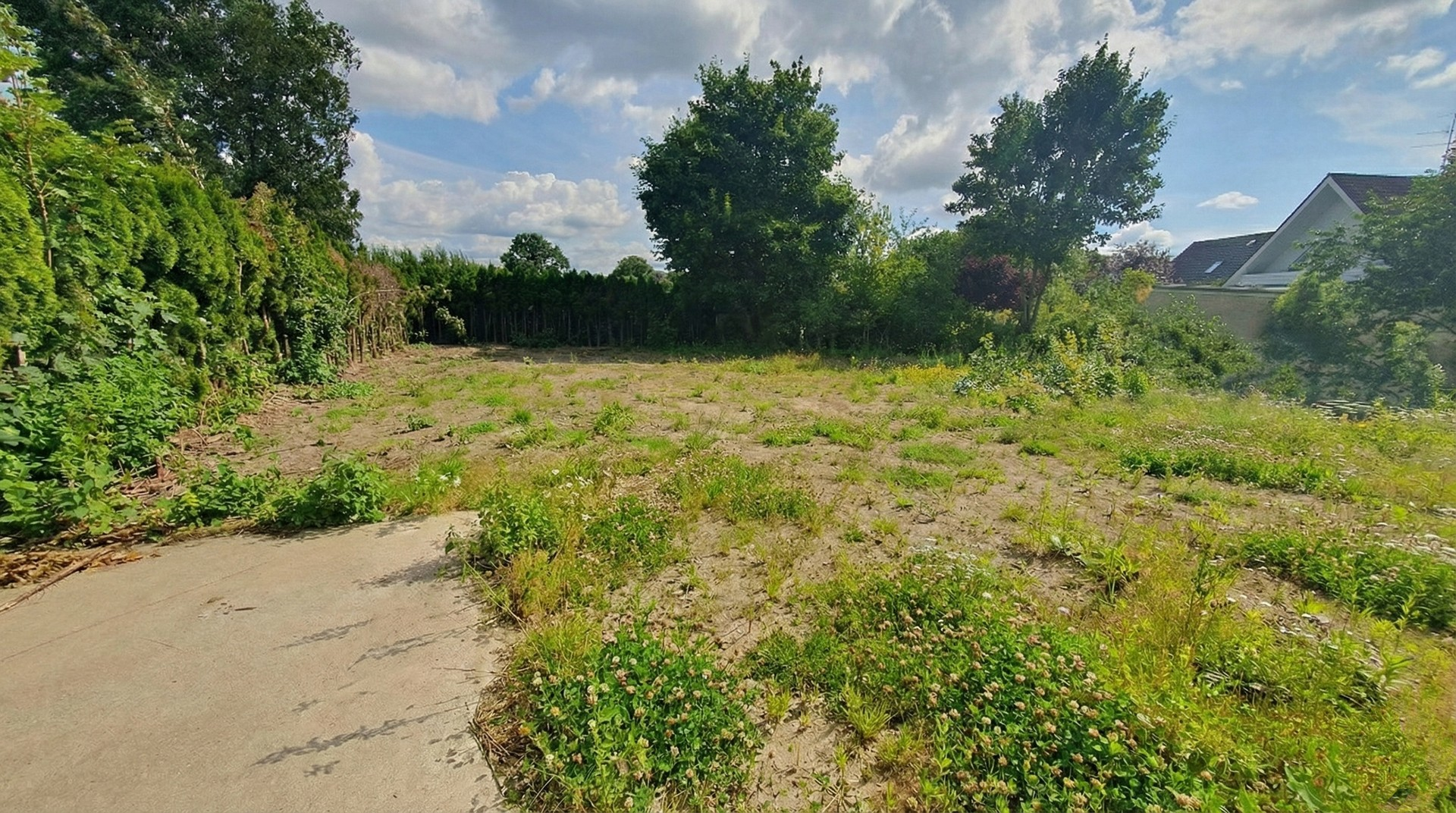 Eingewachsenes Grundstück