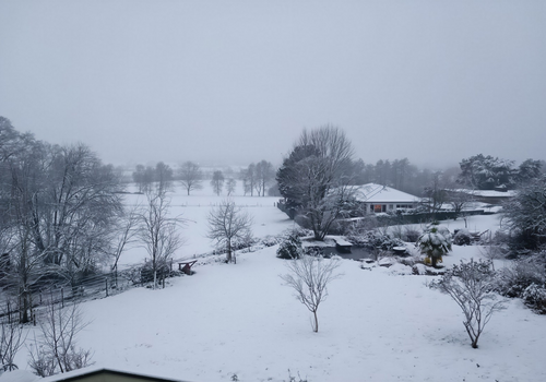 Garten - Winter