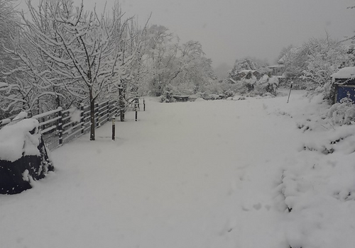 Garten - Winter