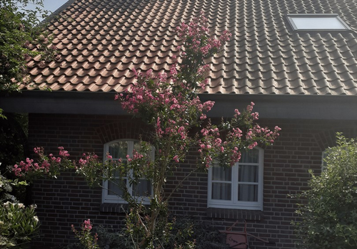 Vorderansicht