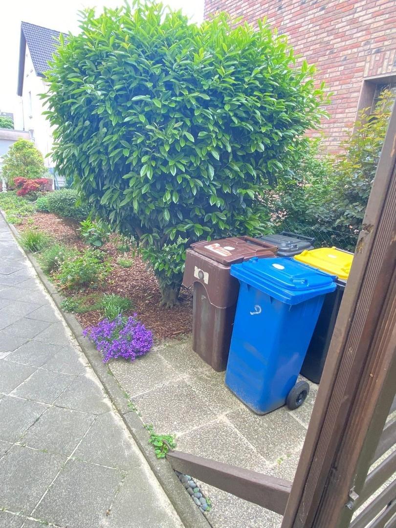 Zugang zum Garten seitlich