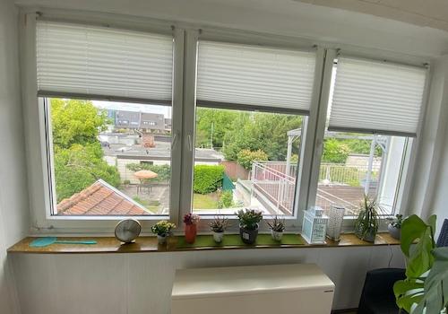 Panoramafenster WZ 1 Etg.