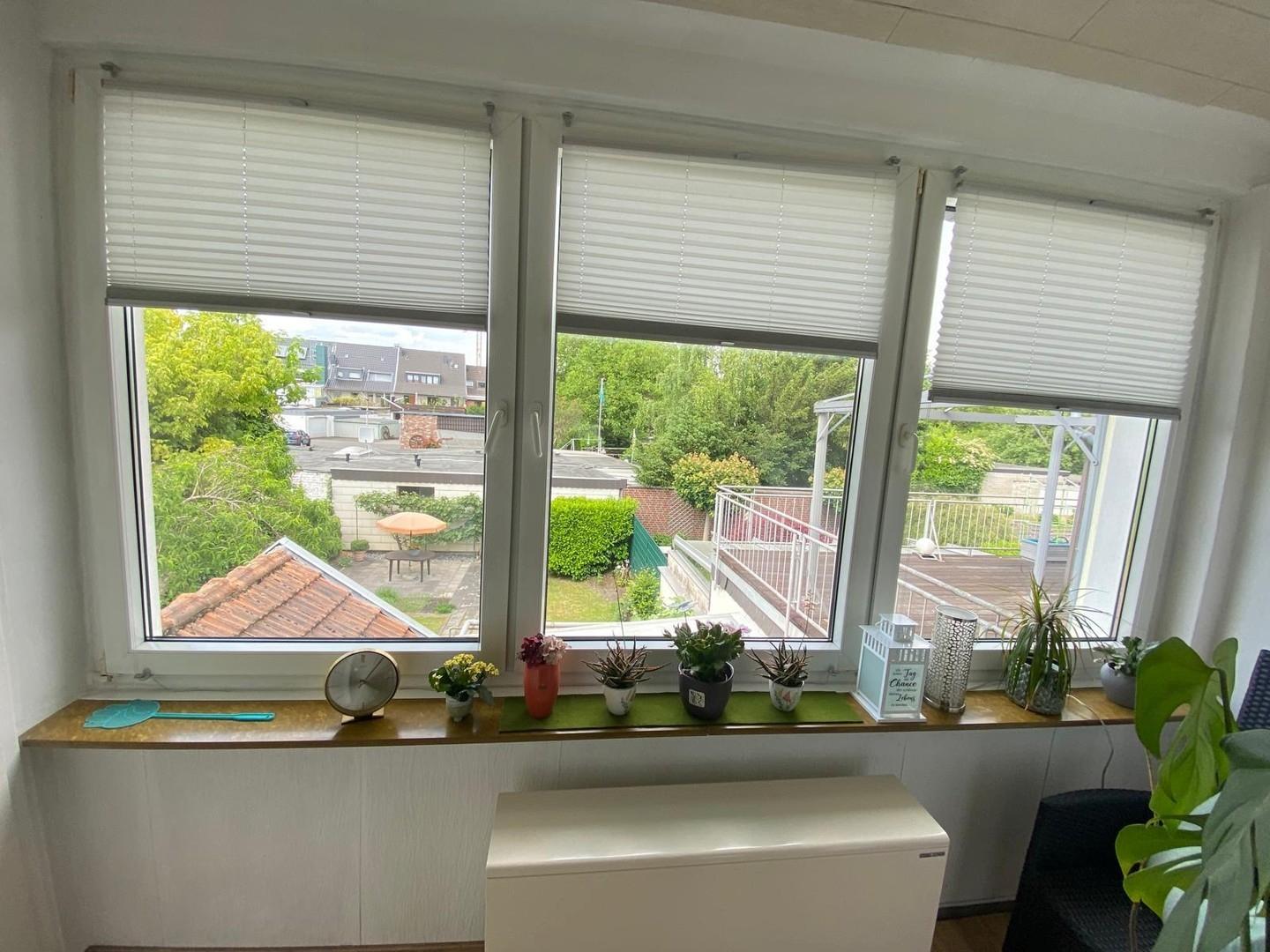 Panoramafenster WZ 1 Etg.