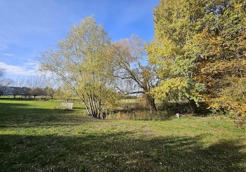 Wiese mit Wasserloch und Brunn
