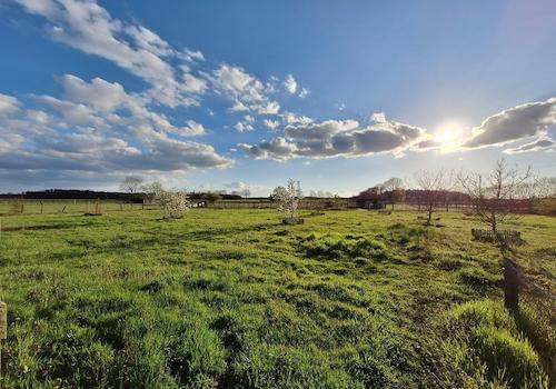 Obstwiese und Weide