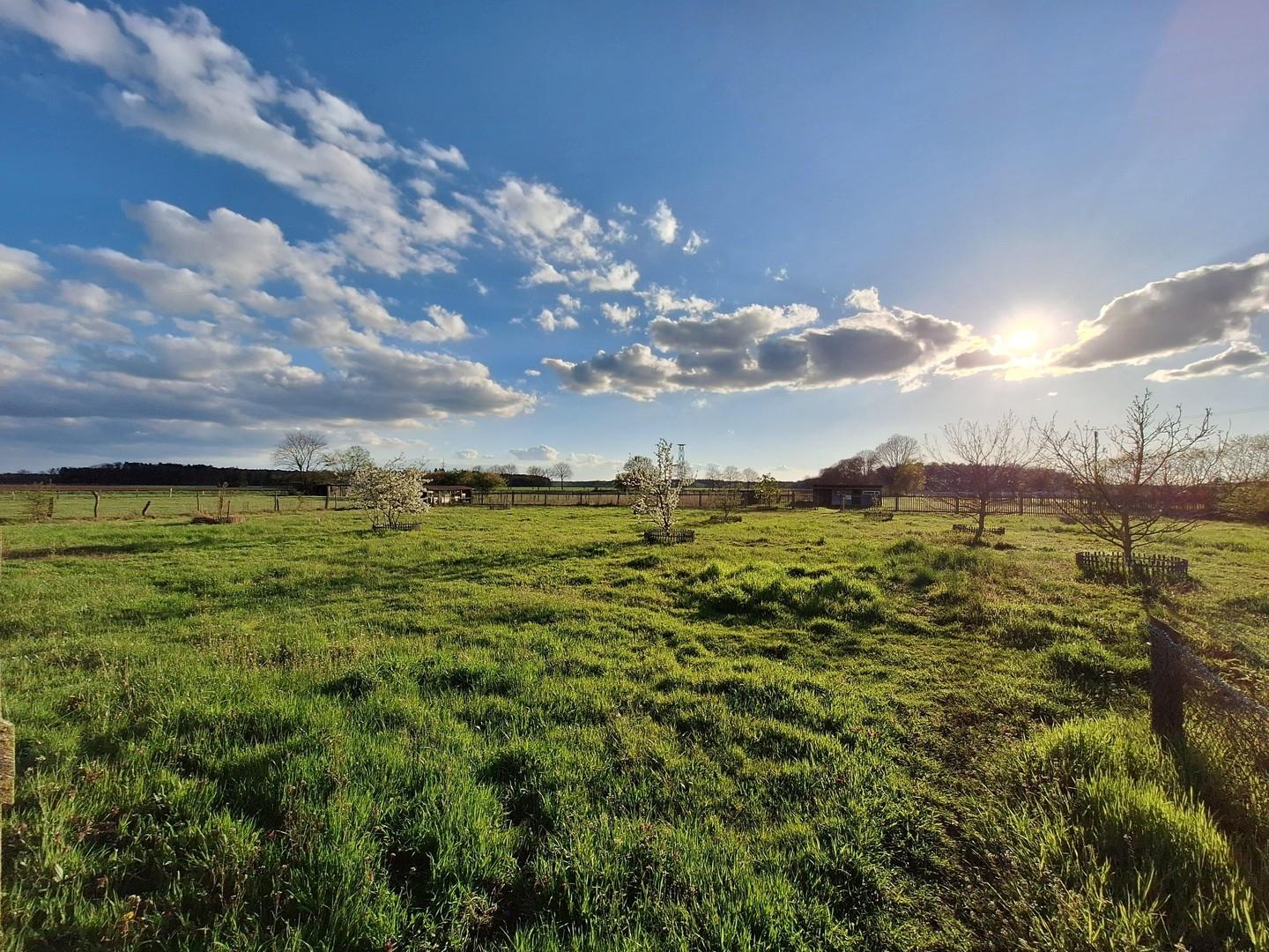 Obstwiese und Weide