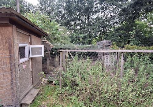 Hühnerstall und Hühnerauslauf