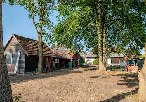 Blick auf Gartenhäuschen