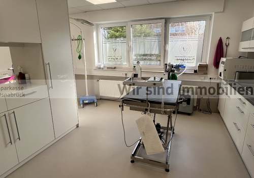 Behandlung Tierarztpraxis