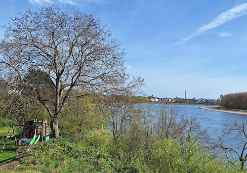 Rheinblick rheinaufwärs