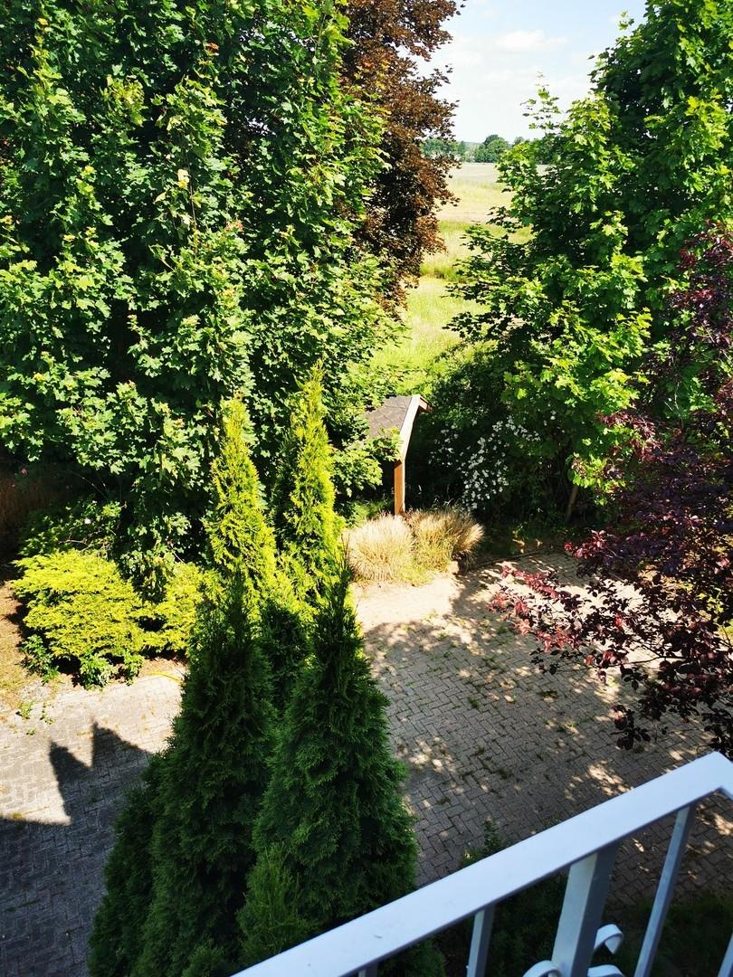 Blick in das hintere Grundstck