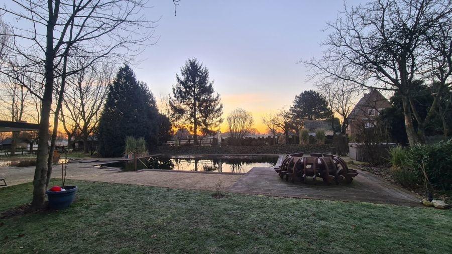 Sonnenaufgang am Schwimmteich