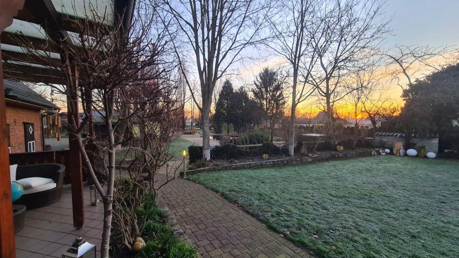 Sonnenaufgang Sommer 2023 mit Teichblick