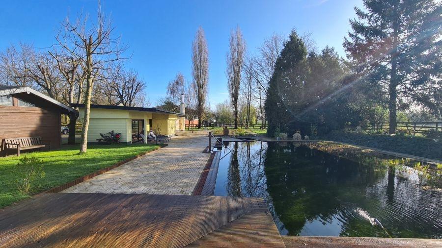 Schwimmteich/Ruheraum mit Blick nach Osten