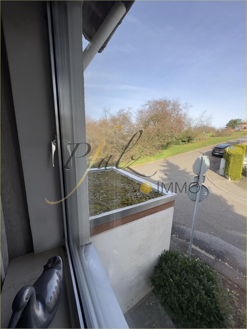 Muehlb_73_Garagendach