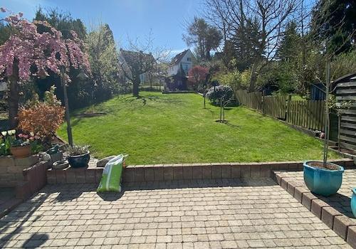 Blick in den Garten 
