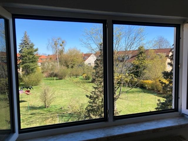 Ausblick Wohnzimmer