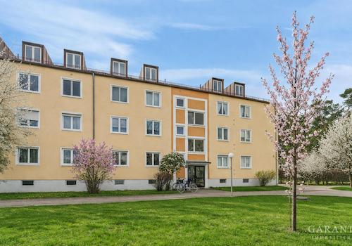 Frühling im Wohnviertel