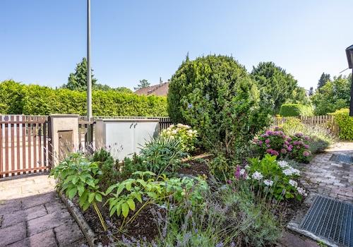 Eingang und Vorgarten