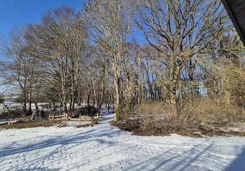 Blick vom Haus zum Waldeingang