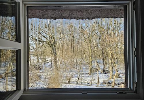 Eiszapfen gehören zum Winter