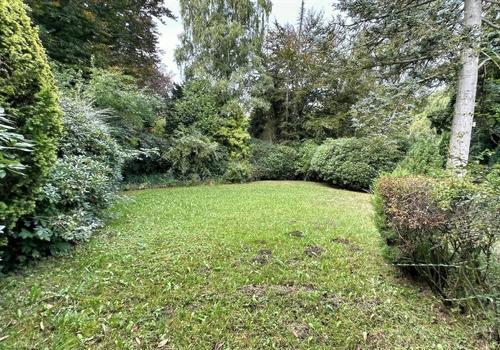 vorderer Gartenbereich