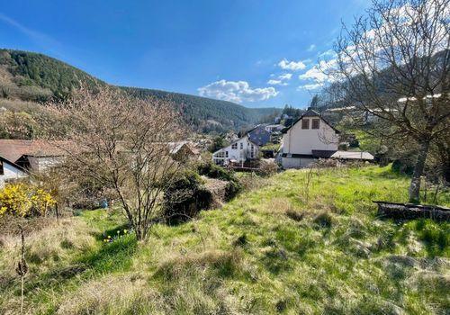 Zusätzlicher Garten (optional) - Blick West von oben