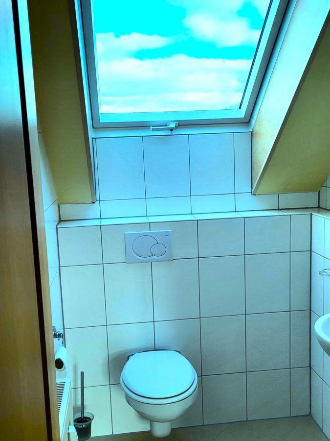 Gäste WC Tageslicht