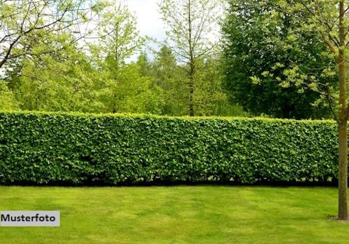 Keine Originalbilder