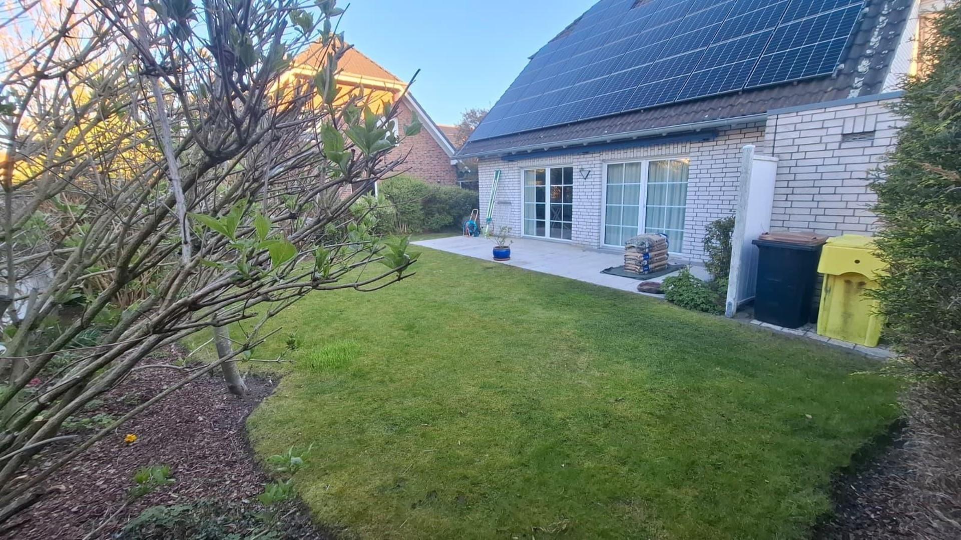 Gartenansichten am Morgen