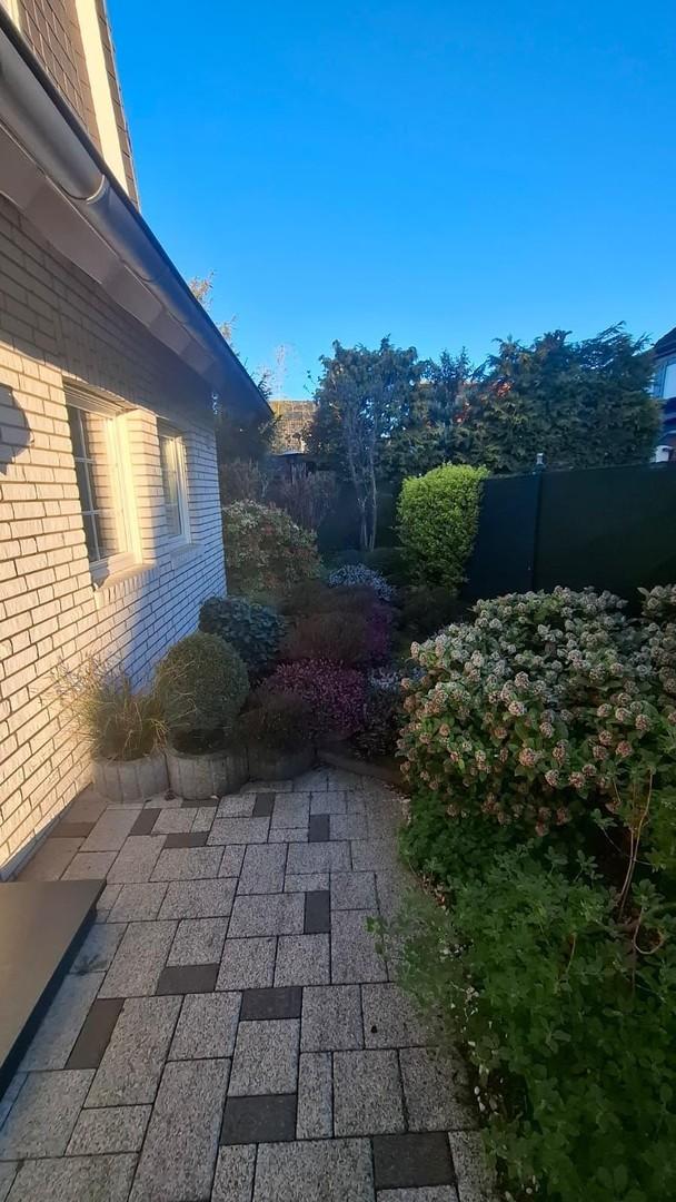 Gartenansichten am Morgen