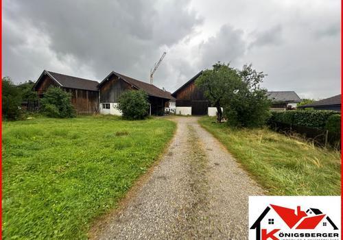 Blick aufs Grundstück