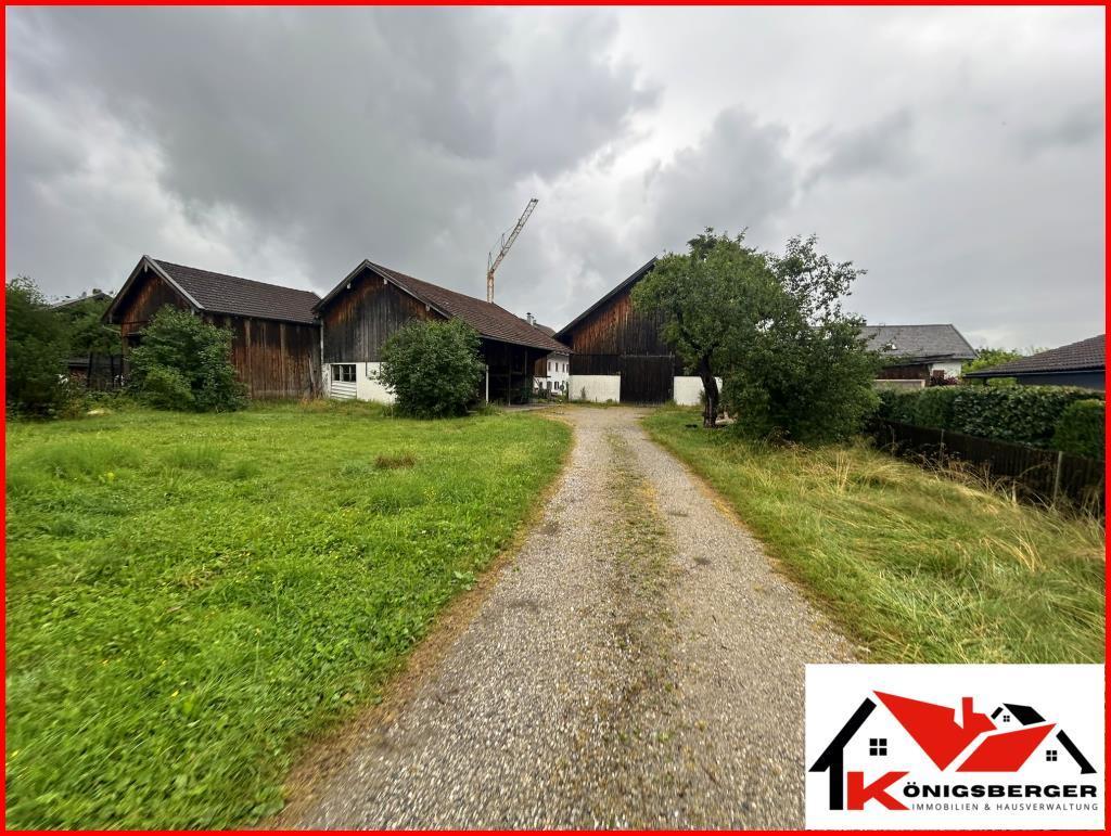 Blick aufs Grundstück