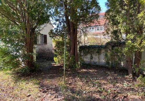 Wäldchen hinter dem Haus