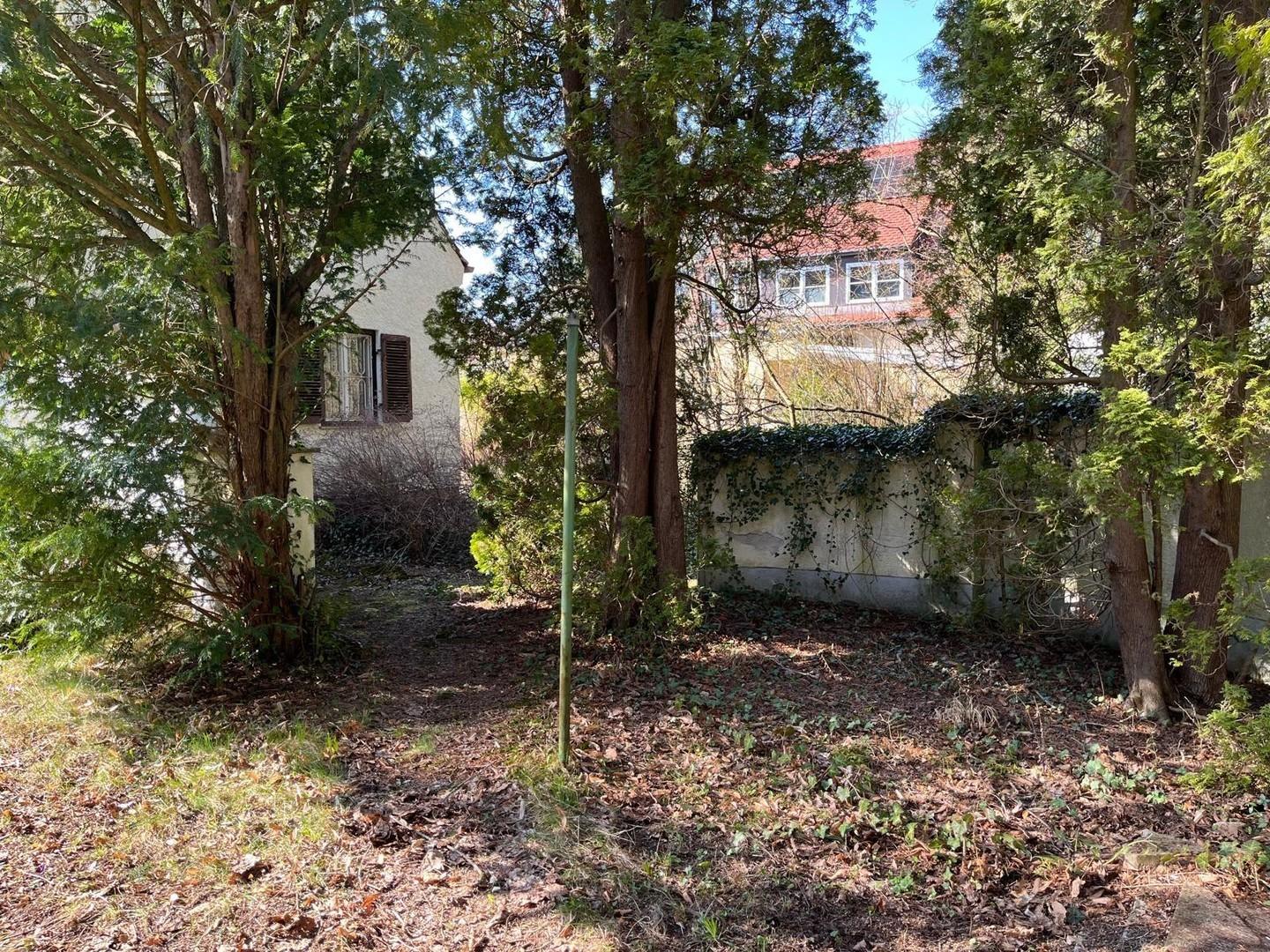 Wäldchen hinter dem Haus