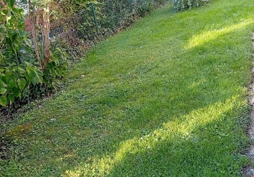 Garten seitlich