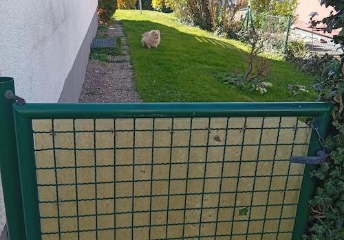 Garten seitlich