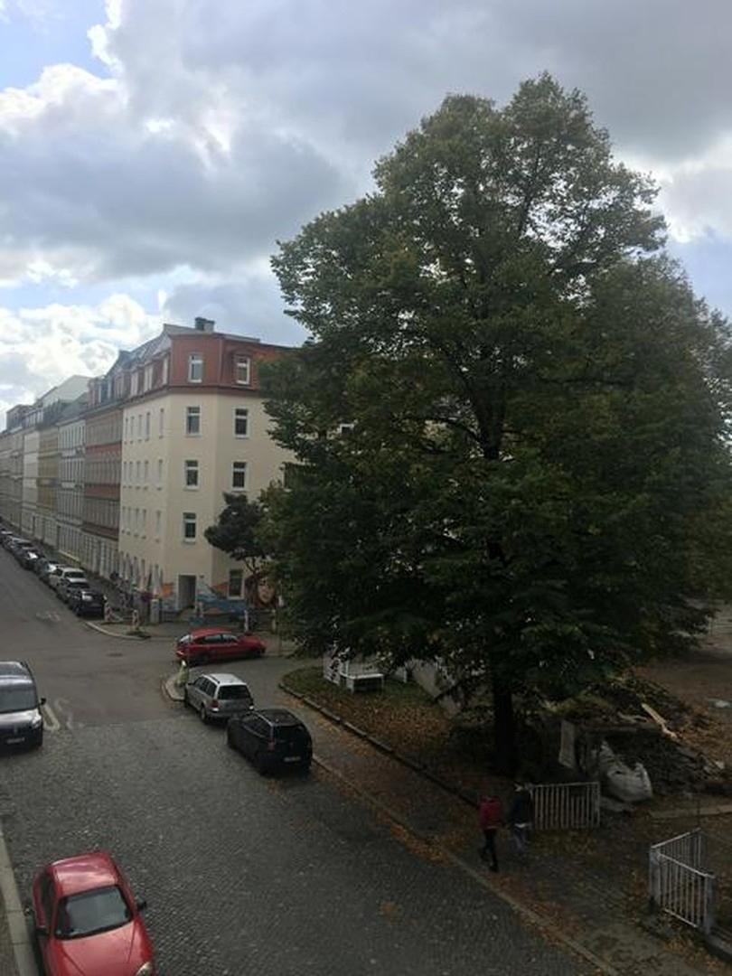 Aussicht zur Straße