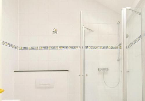 solide Basis (Ist-Zustand)