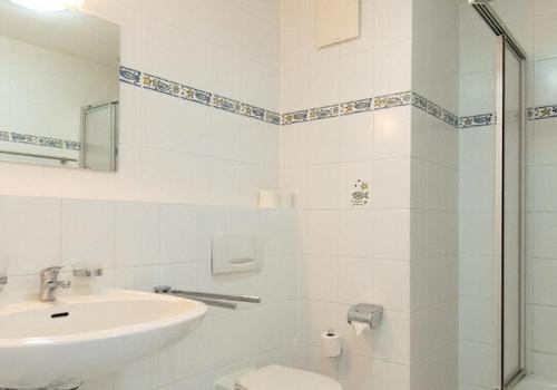 solide Basis (Ist-Zustand)