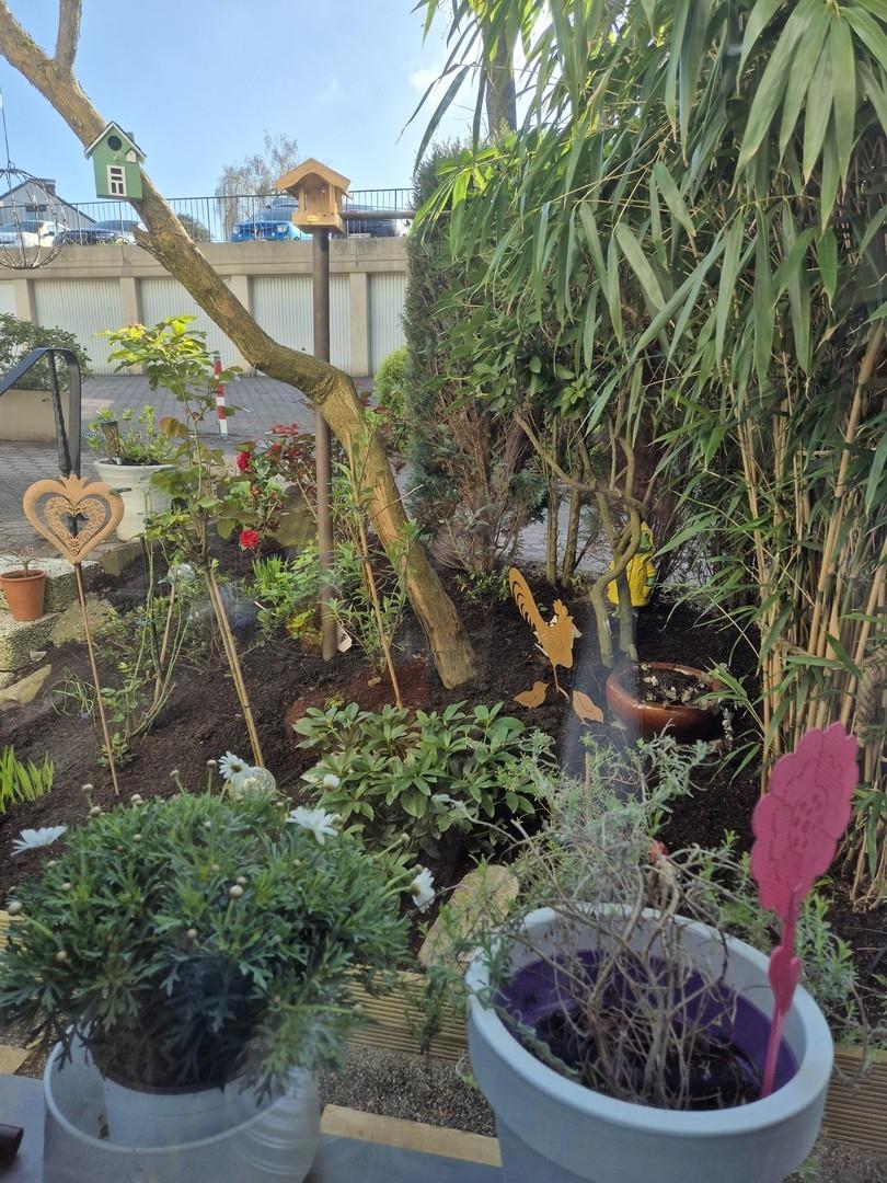 Aussicht aus der Küche